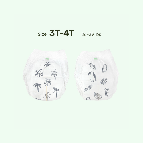 PARASOL 美國 Clear+Dry® 超透氣水凝學習褲 (5號/加大碼,48片)