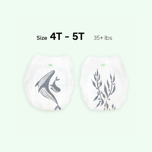 PARASOL 美國 Clear+Dry® 超透氣水凝學習褲 (6號/加加大碼, 36片)