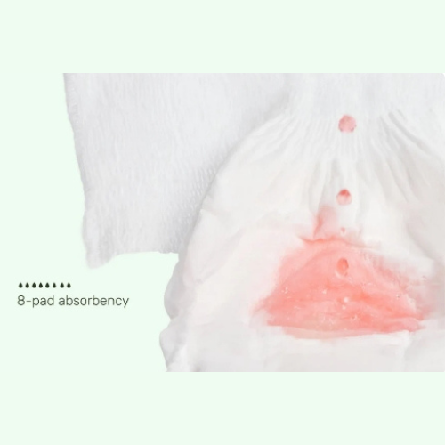 PARASOL 美國 Recovey Care™ 女士/產婦衛生安睡褲 (中/大碼, 8片)