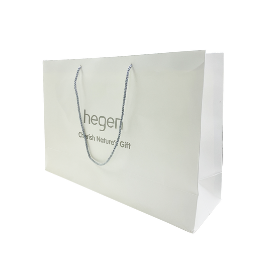Hegen paper bag